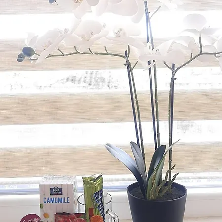 за гости 2 тракия плаза * Шумен